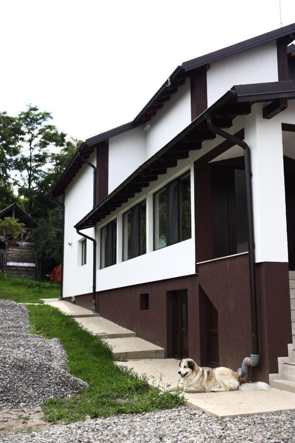 Hatasul Bunicului Arefu Exterior photo